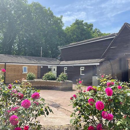 The Rose Cottage Wisborough Green Extérieur photo